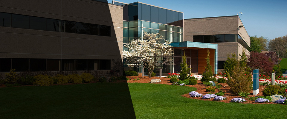 Foothill Ranch Landscapers