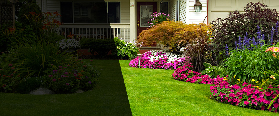 Foothill Ranch Landscapers