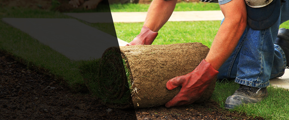 Foothill Ranch Landscapers